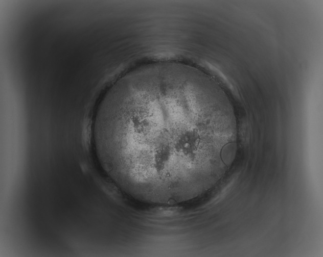 X0000101120495200807101546