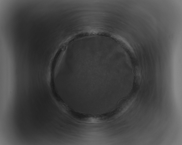 X0000101120496200807101546
