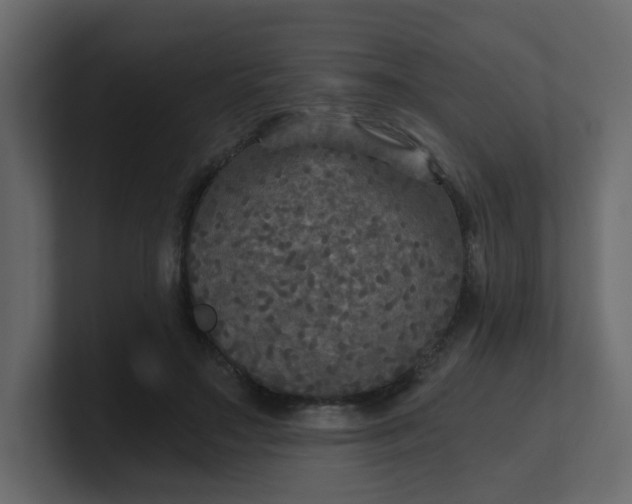 X0000101120499200807101546
