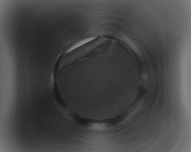 X0000101120500200807101546