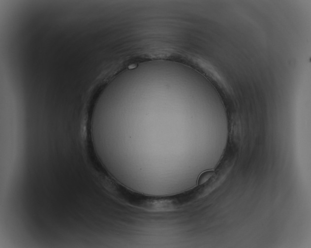 X0000101120501200807101546