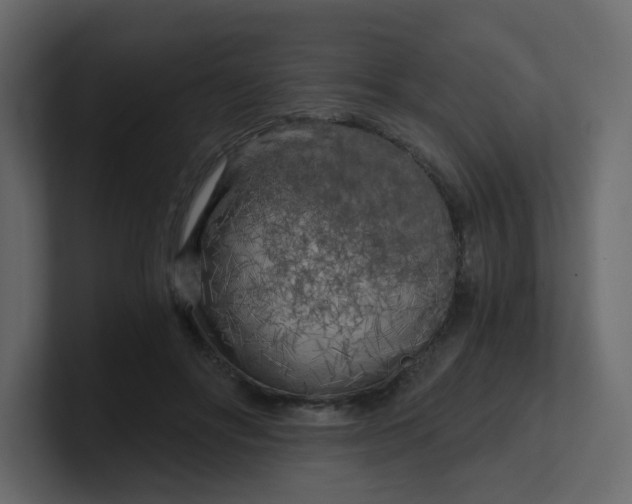X0000101120502200807101546