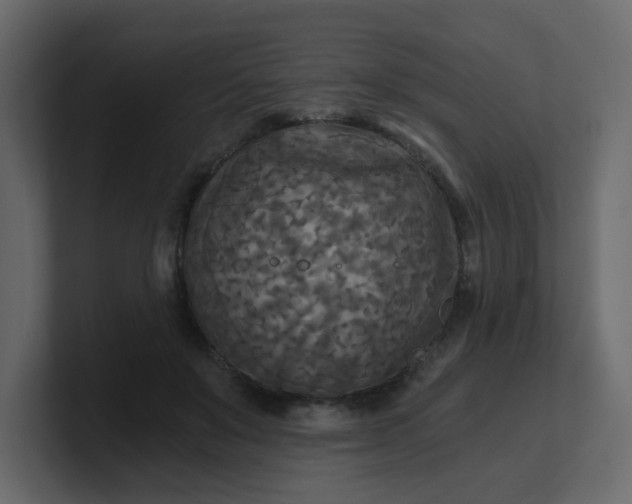 X0000101120503200807101546