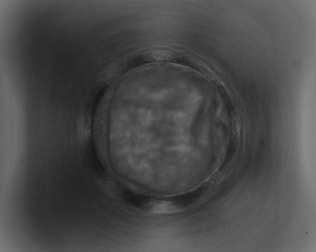X0000101120507200807101546
