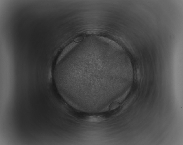 X0000101120508200807101546