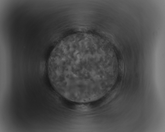 X0000101120511200807101546