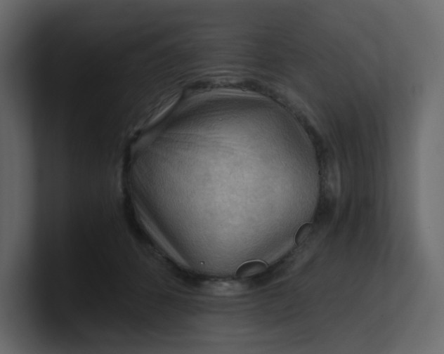 X0000101120512200807101546