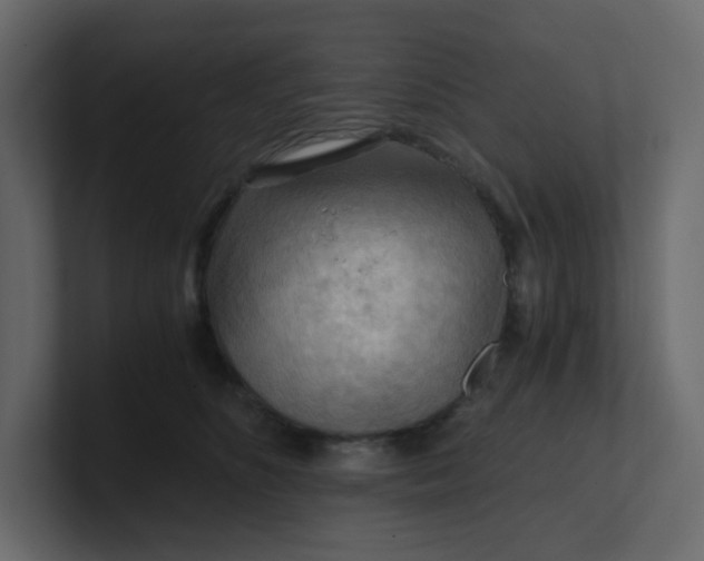 X0000101120516200807101546