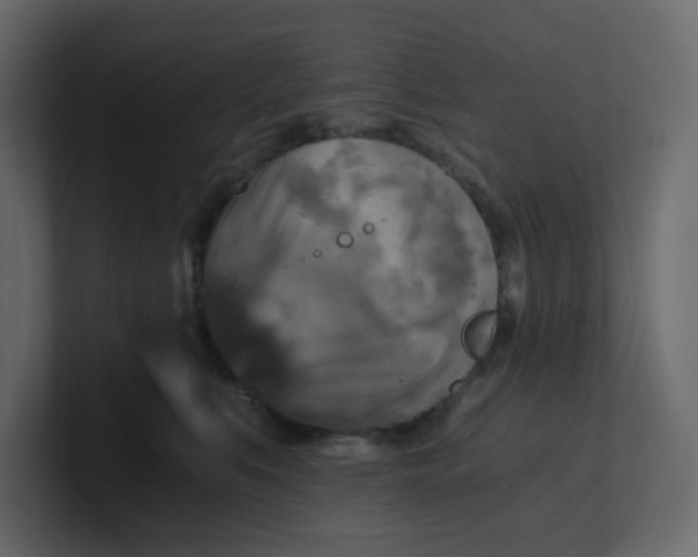 X0000101120519200807101546