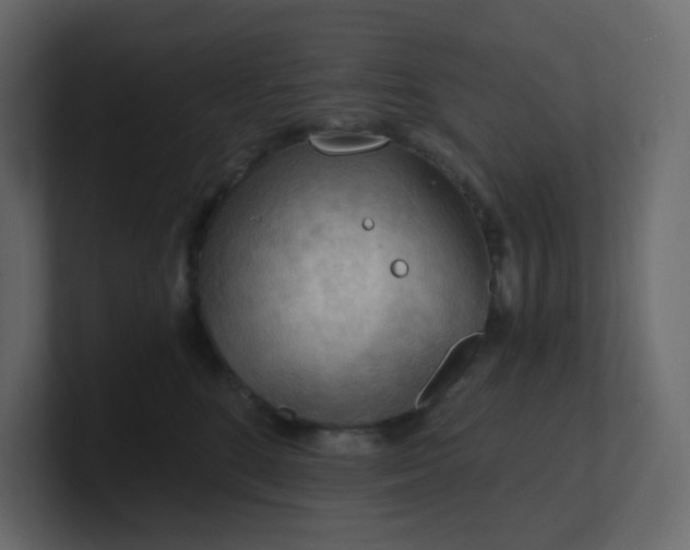 X0000101120520200807101546