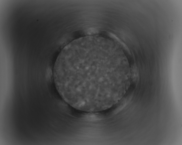 X0000101120523200807101546