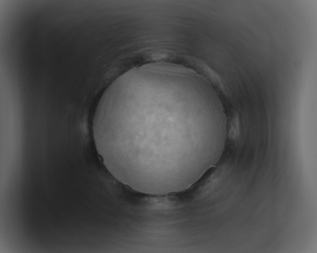 X0000101120524200807101546