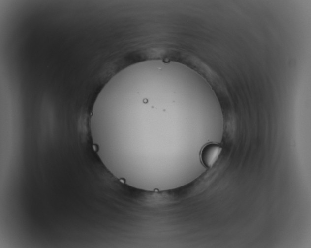 X0000101120525200807101546
