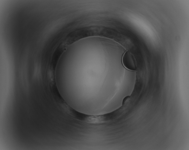 X0000101120526200807101546