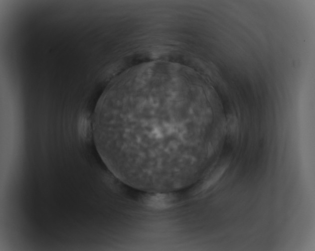 X0000101120527200807101546