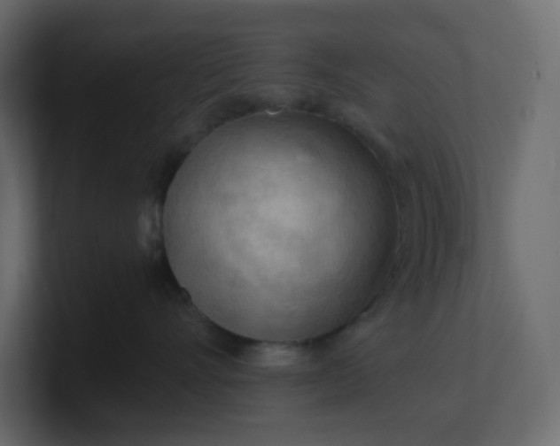 X0000101120528200807101546