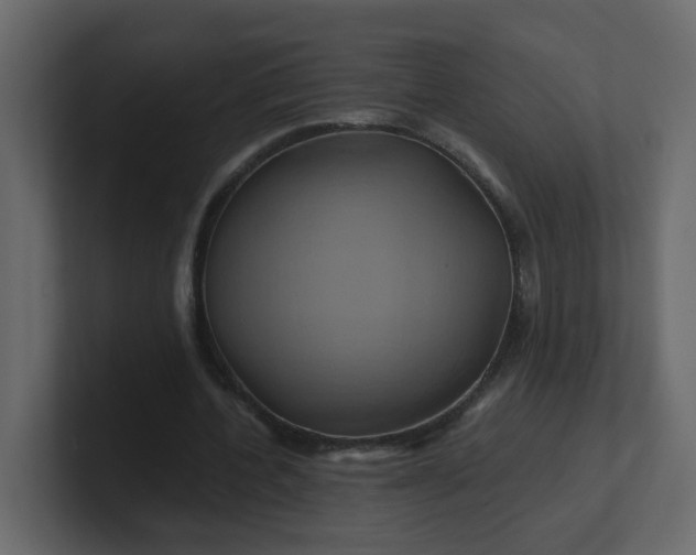X0000101120532200807101545