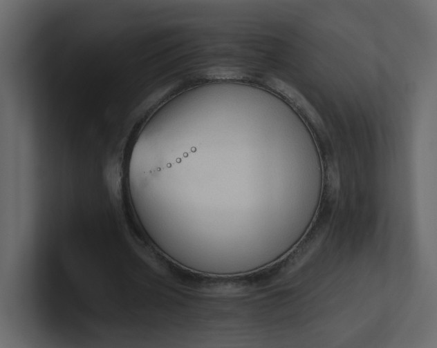 X0000101120533200807101545
