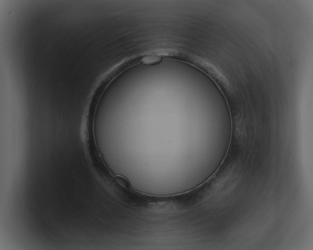 X0000101120536200807101545