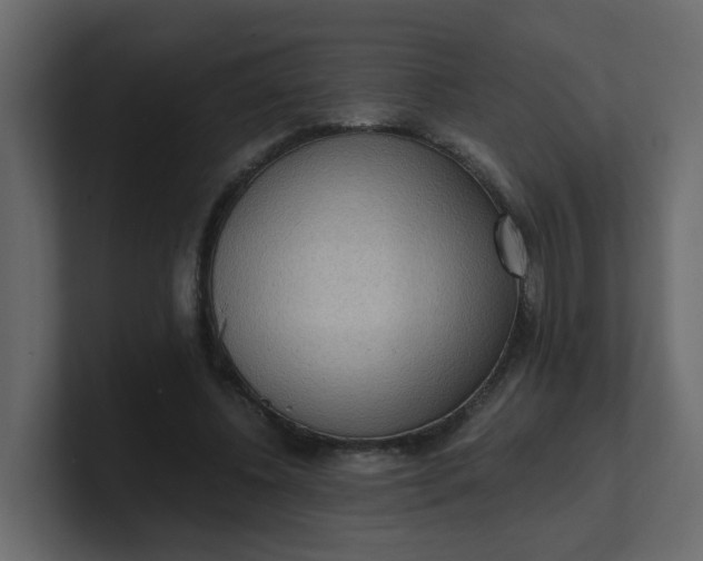 X0000101120540200807101545