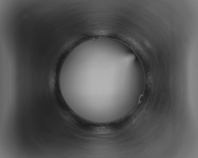 X0000101120544200807101545