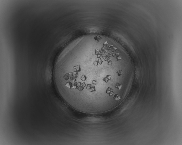 X0000101120545200807101545