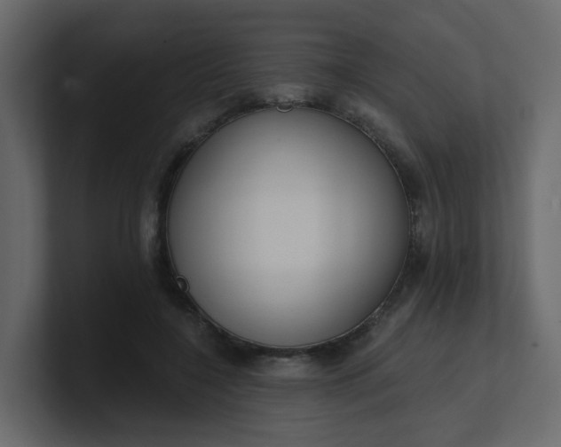 X0000101120548200807101545