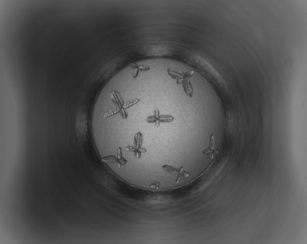 X0000101120549200807101545