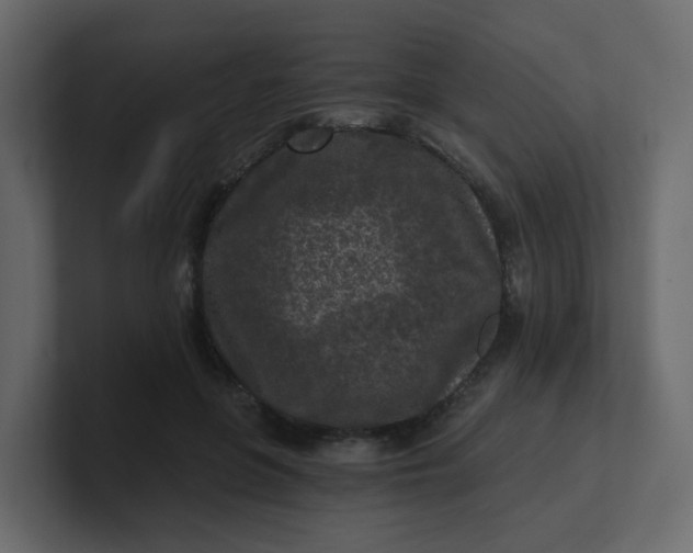 X0000101120551200807101545