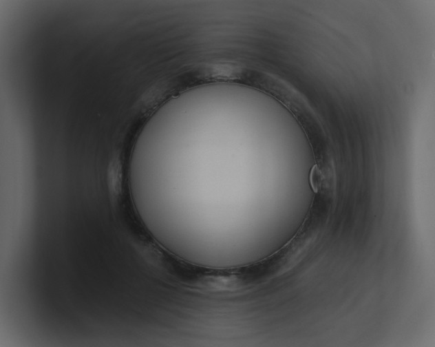 X0000101120552200807101545