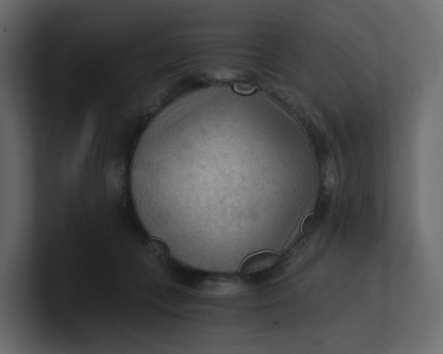 X0000101120559200807101545