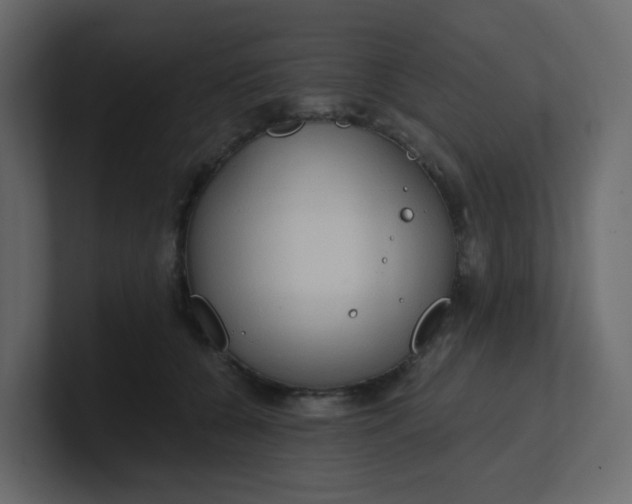 X0000101120560200807101545