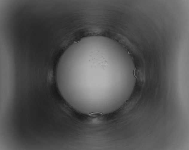 X0000101120564200807101545
