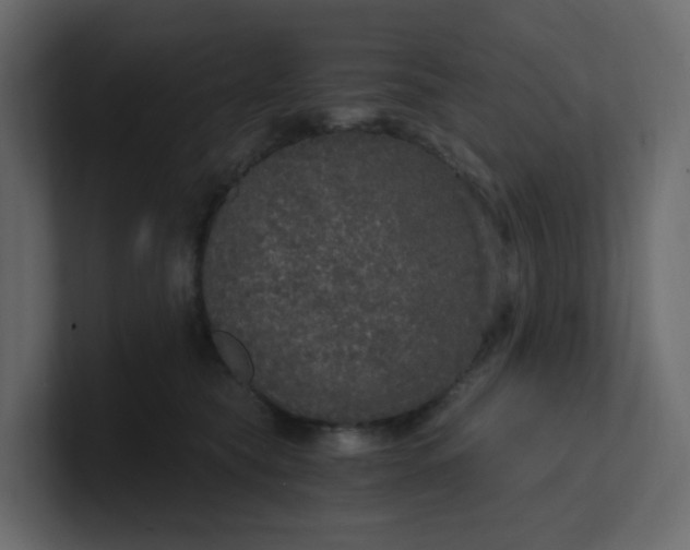 X0000101120565200807101545