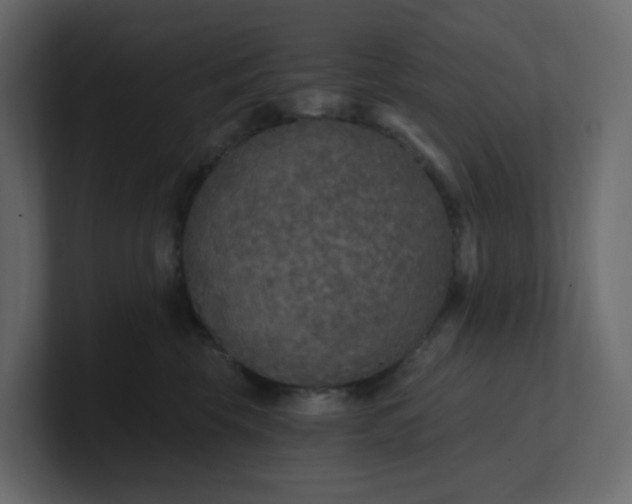 X0000101120569200807101545