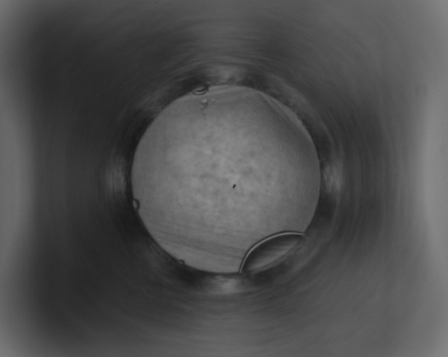 X0000101120570200807101545