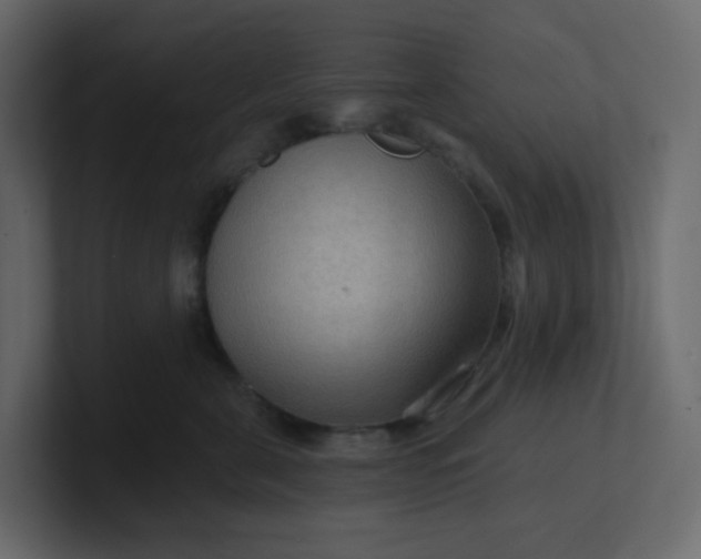 X0000101120571200807101545