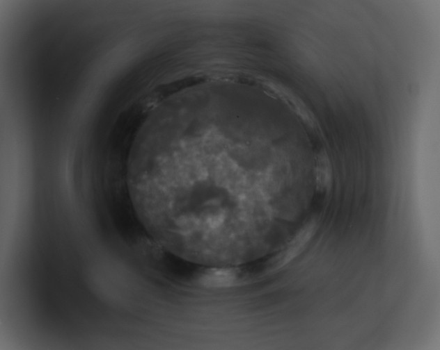 X0000101120573200807101545