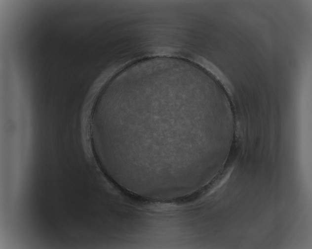 X0000101120577200807101545