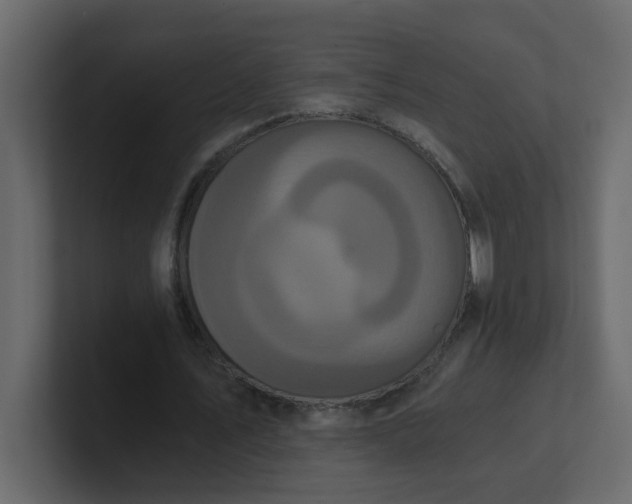 X0000101120579200807101545
