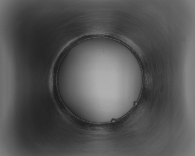 X0000101120580200807101545