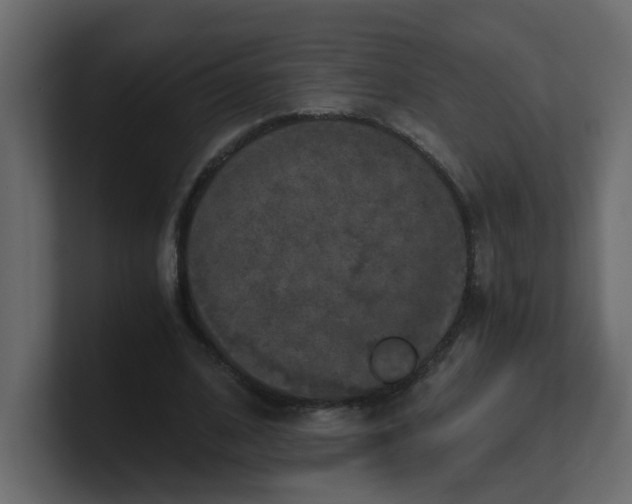 X0000101120584200807101545