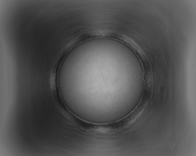 X0000101120585200807101545