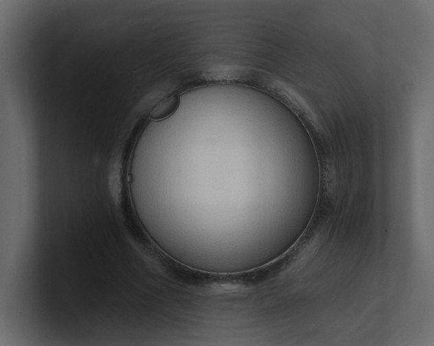 X0000101120586200807101545