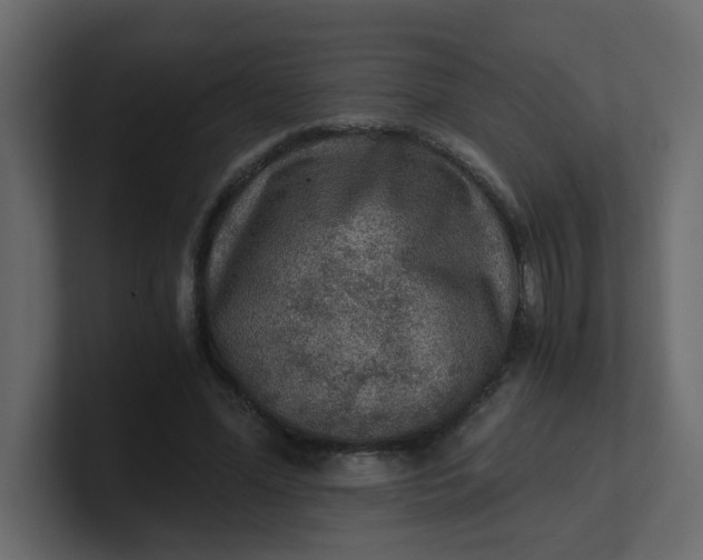 X0000101120588200807101545