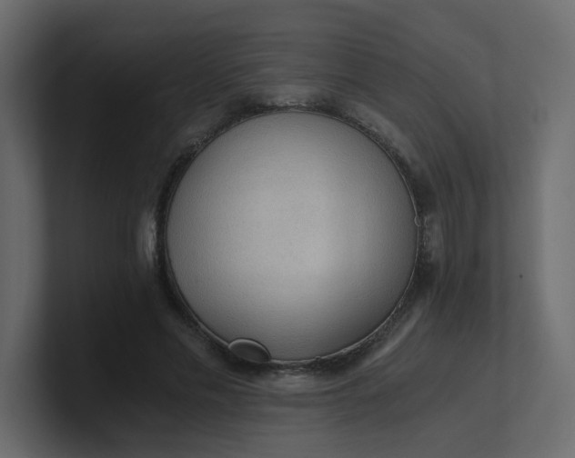 X0000101120589200807101545