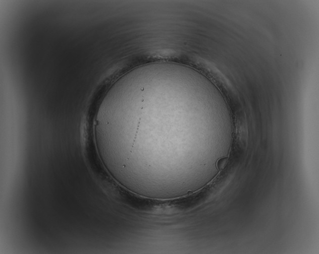 X0000101120591200807101545