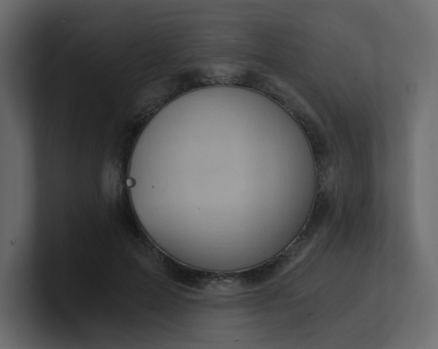 X0000101120599200807101545