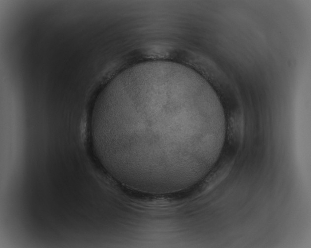X0000101120600200807101545