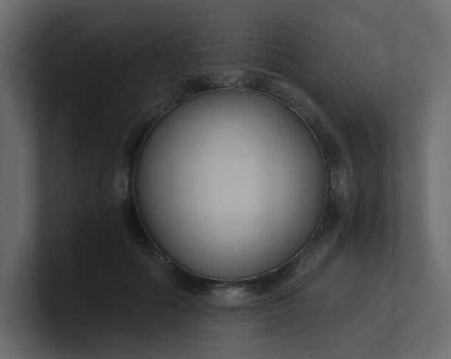X0000101120602200807101544